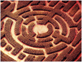 Daedalus made labyrinth